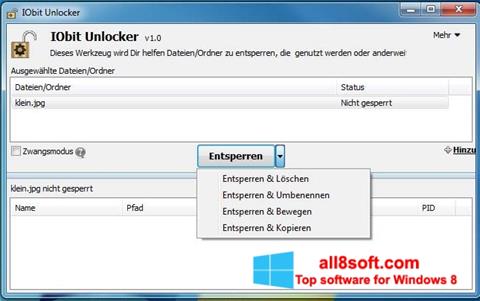 Снимак заслона IObit Unlocker Windows 8