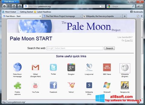 Снимак заслона Pale Moon Windows 8