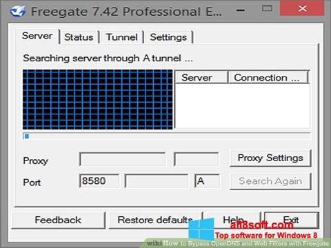 Снимак заслона Freegate Windows 8