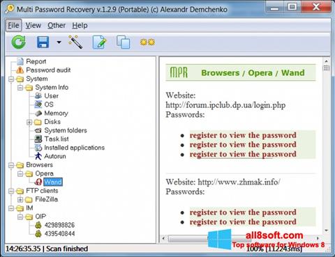 Снимак заслона Multi Password Recovery Windows 8