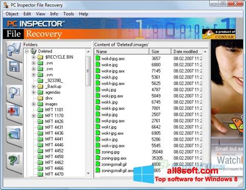 Снимак заслона PC Inspector File Recovery Windows 8