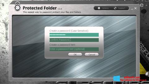Снимак заслона Protected Folder Windows 8