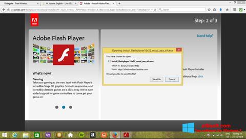 Снимак заслона Adobe Flash Player Windows 8