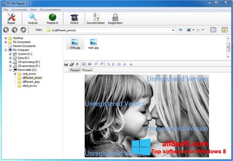 Снимак заслона File Repair Windows 8